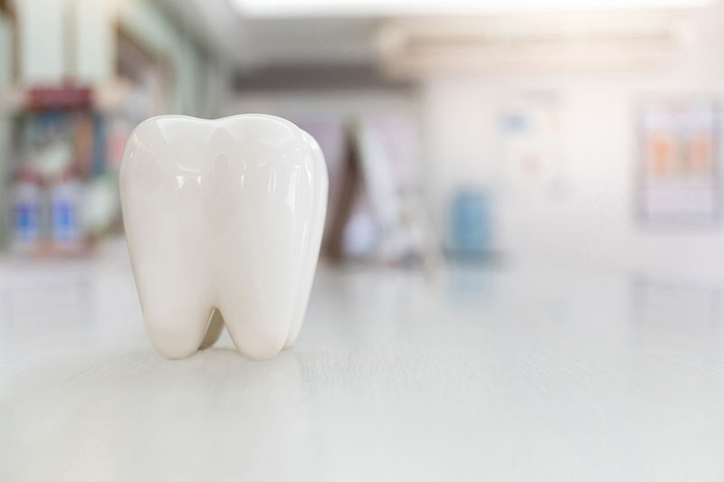 Artificial teeth model on wood table with blur background 