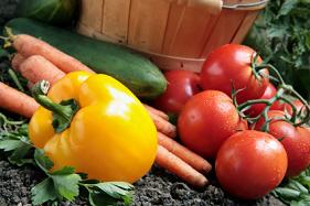 Vegetables Peppers Tomatoes Carrots basket garden